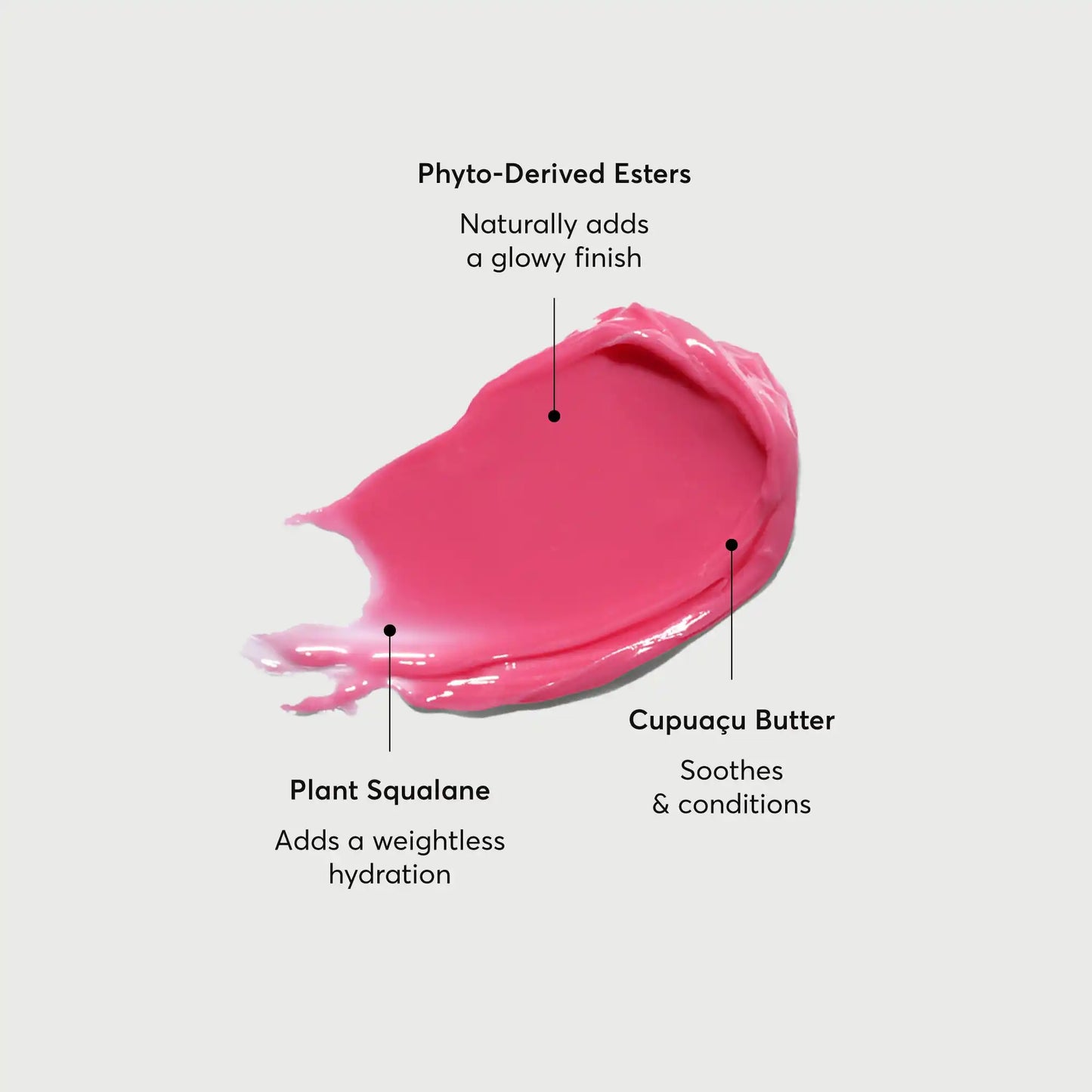 phyto-glow-lip-balm-camellia-k7 NATR-60075-Alt-Images-Phyto-Glow-Lip-Balm-Camellia-01.webp